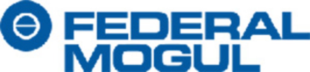 Logo Federal Mogul